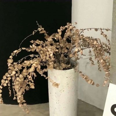 平川FurryQQ群介绍